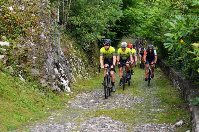 VareseVanVlaanderen Varese Van Vlaanderen
