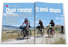 Quei randagi 12 anni dopo