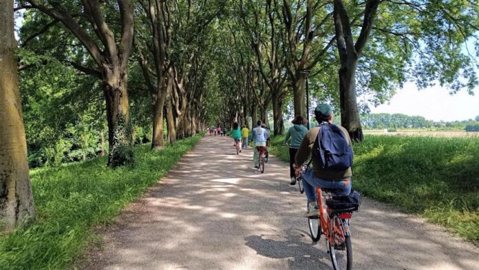 Ferrara & Comacchio Sport Ferrara & Comacchio Sport