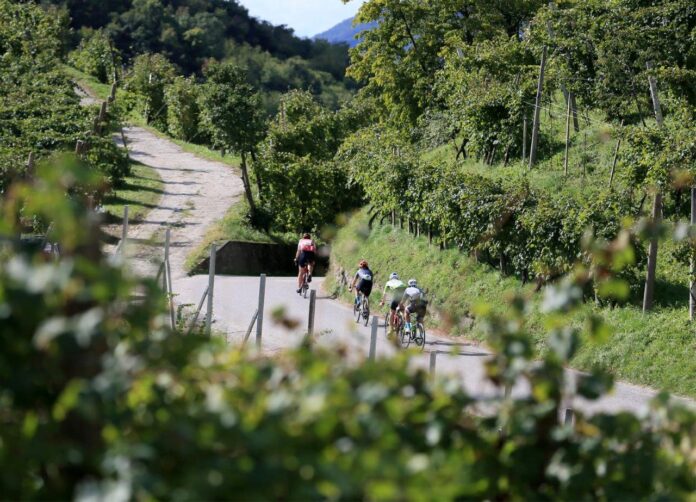 Prosecco-Cycling Prosecco