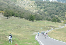 Gran Fondo Avesani, il 1º maggio la 25ª edizione: iscrizioni aperte Avesani