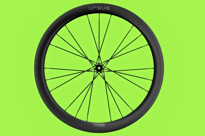 Ursus