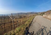 Randonnée del Garda, tre percorsi rinnovati per l’appuntamento di Sommacampagna Randonnée del Garda