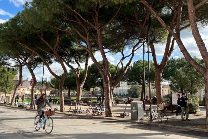 Velo-city