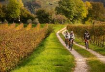 La Prosecco Unbound di Marca Bianca è pronta a stupire di nuovo La Prosecco Unbound