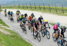 Gran Fondo Avesani: le iscrizioni chiudono tra meno di una settimana Gran fondo Avesani