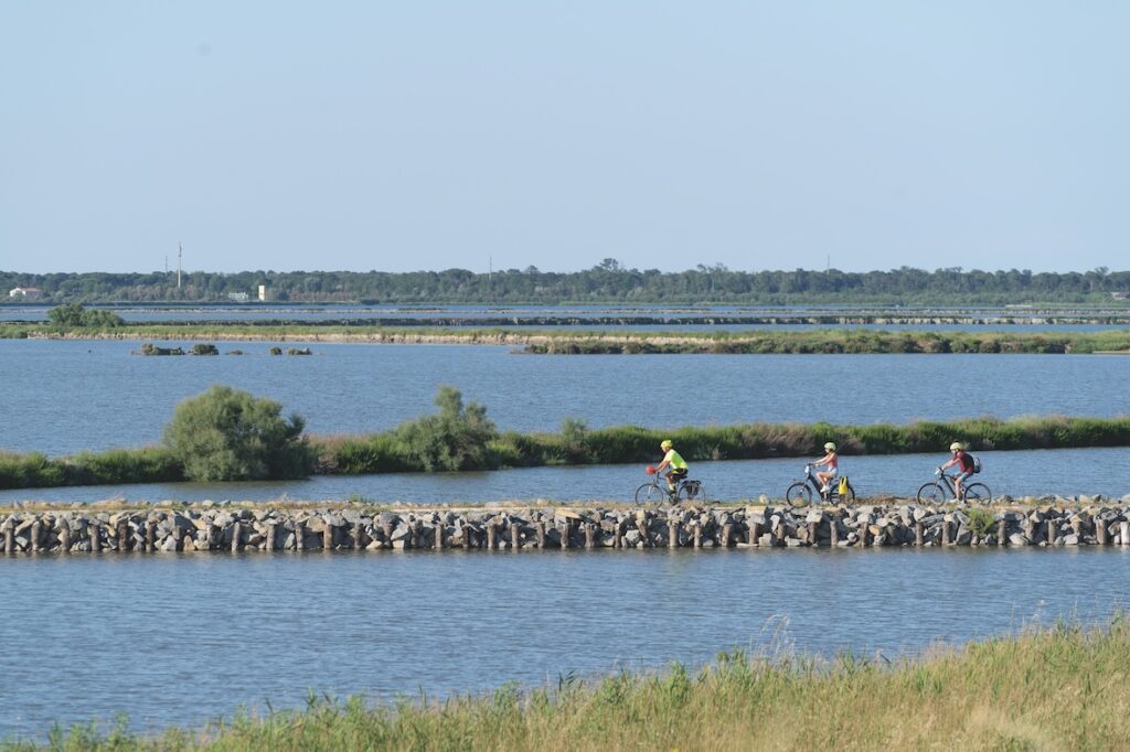 In bici tra Valli e Delizie