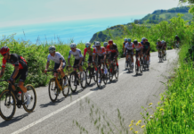 Squali: granfondo, gravel, run, spettacoli e divertimento per tutti! Granfondo Squali