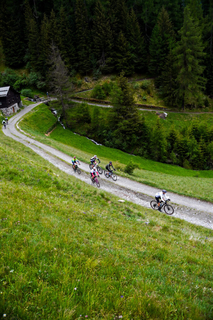 La Stelvio Santini