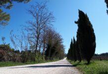 Verso la 7ª edizione della Gravel del Sale Fantini Club: tanto sterrato in terra romagnola