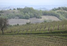 Biella-Oropa, Matteo Raimondi vince per distacco. E Martina Cavallo cala il tris Biella Oropa