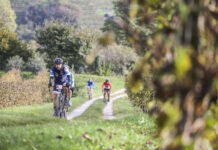 Verso la Epica Marca Bianca: strade bianche, gravel e colline del Prosecco La Epica Marca Bianca