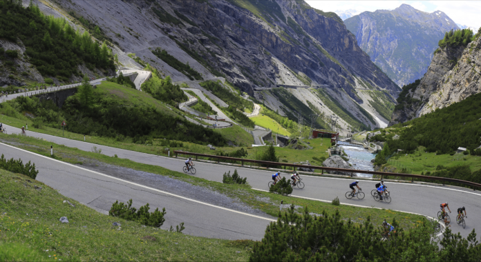 Re Stelvio Mapei Re Stelvio Mapei