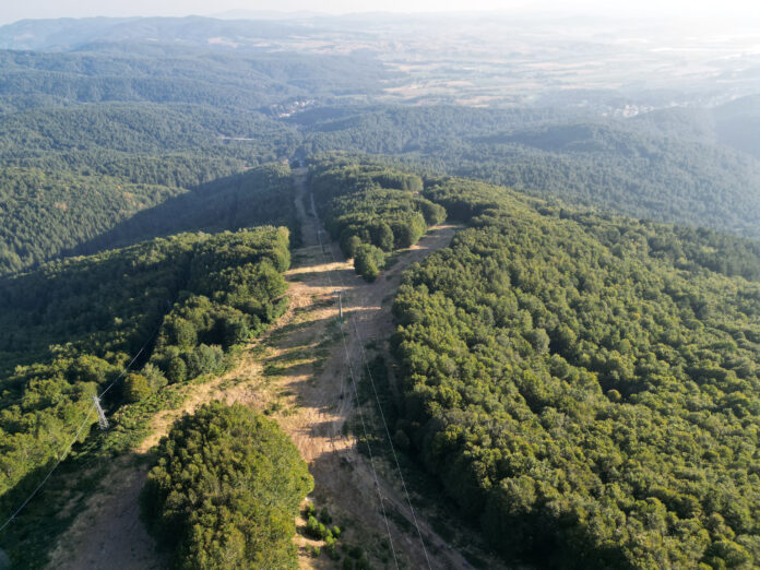 Sila