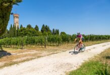 SouthGardaBike Experience: la gravel che racconta il territorio SouthGardaBike