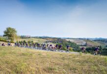 L’Étape Mondovì, un viaggio nel cuore del Monregalese e dell’Alta Langa L’Étape Mondovì
