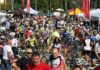 Via dei Berici, il programma si arricchisce: debuttano il ciclocross e la Pink Charity Ride