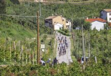 Prosecco Cycling: a Valdobbiadene si chiude la Nalini Road Series