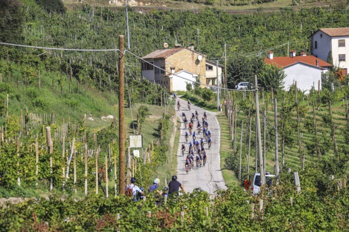 Prosecco Cycling