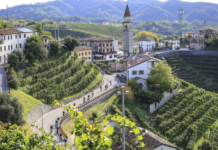 Prosecco Cycling, che numeri: oltre duemila iscritti, il sold out è vicino Prosecco Cycling