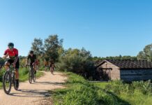 Laroste gravel, più di mille partecipanti per un weekend di sport e passione a Lignano Sabbiadoro