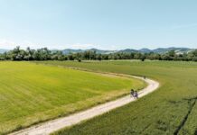 Gravel Gourmet torna il 3 e 4 ottobre: due percorsi per vivere le Valli di Parma (con gusto) Gravel Gourmet