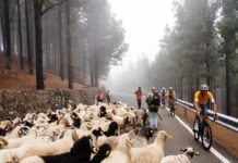 Gran Fondo Pico de las Nieves, la stagione non è ancora finita: appuntamento al 22 novembre