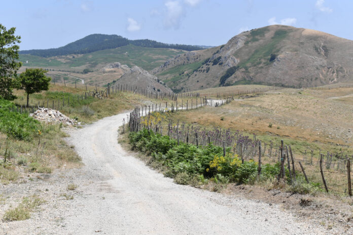 Marathon di Floresta - Sicilia (2)