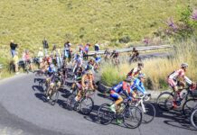 Pedalatium 2027: ecco le cinque Gran Fondo già in calendario Pedalatium 2027