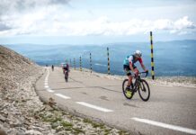 GF Colnago Mont Ventoux: la scalata al Gigante si ripete anche nel 2027 Gran Fondo Colnago Mont Ventoux