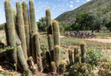 Nedbank Gravel Burn, 3ª tappa: con Eddy Le Huitouze fa festa la Francia. Tra le ragazze, successo della tedesca Nele Laing Nedbank Gravel Burn