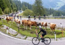 Sella Ronda Bike Day, ufficializzate le date per il 2027: ecco quando verranno chiuse le strade