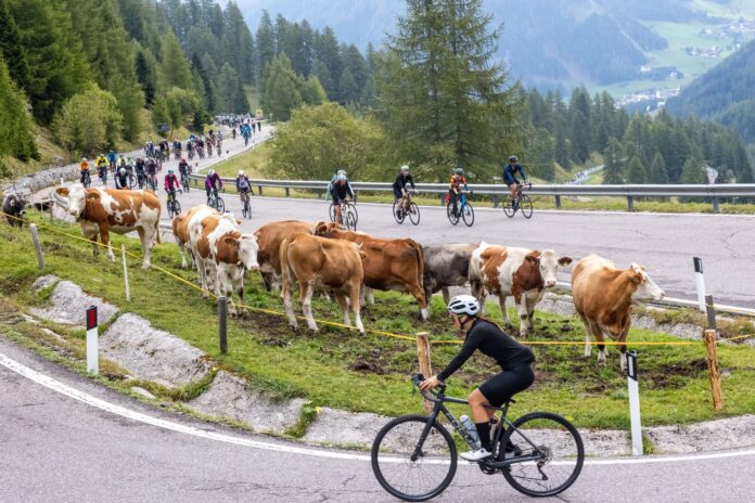 Sellaronda BD 546994191_1187269916765584_7998038595577065198_n