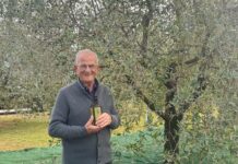 Ernesto Gazzola, fondatore di Gaerne, compie 94 anni: le radici di una storia italiana che ha conquistato il mondo